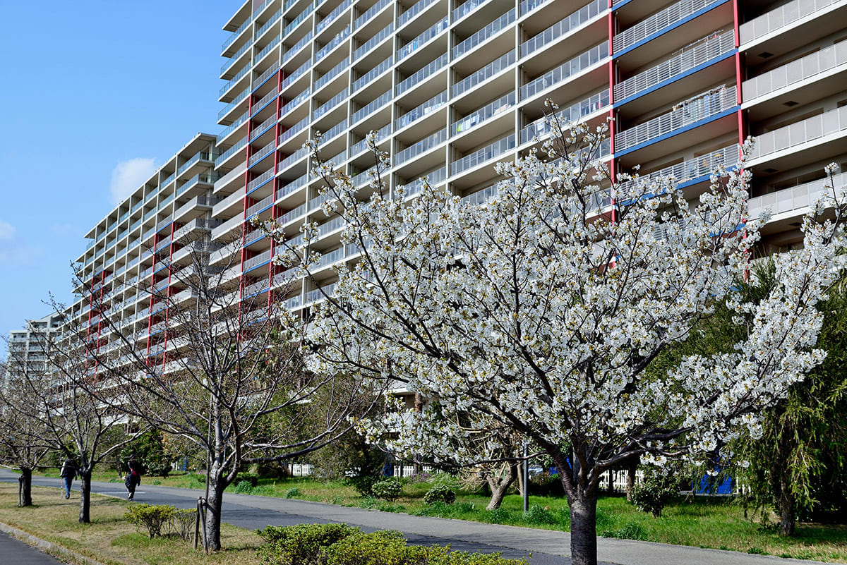 マンスリーマンションとサービスアパートメント